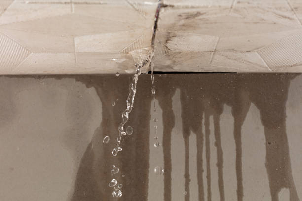 Professional Water Damage Repair technician working in Poolville, TX